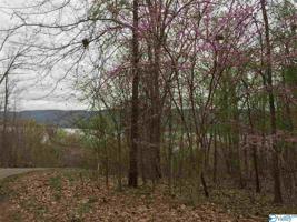 0 Monte Sano Drive