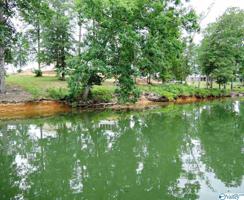 84 Bullbranch Drive