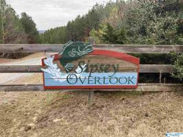 132 Sipsey Overlook Road