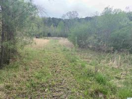 385 County Road 109