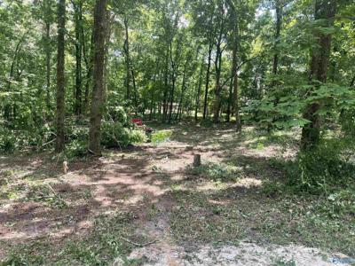 609 Cornelia Circle