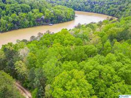 Lot 3 County Road 3782