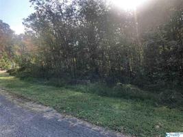 1298 Lookout Mountain Drive
