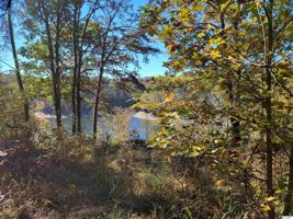 00 County Road 354