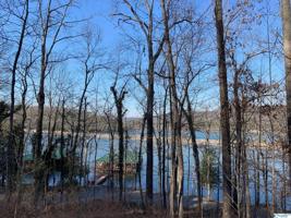195 Snug Harbor Road