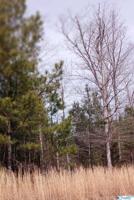 0 Stoney Point Road