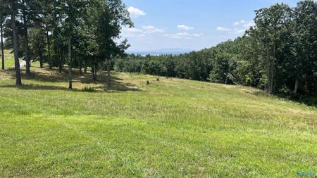 Lot 52 County Road 767
