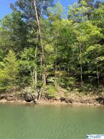 43 Sipsey Overlook