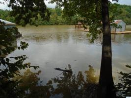 16954 Lakeside Estates Road