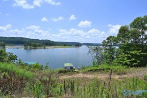 299 County Road 312