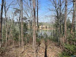 Lot 93 Sipsey Overlook