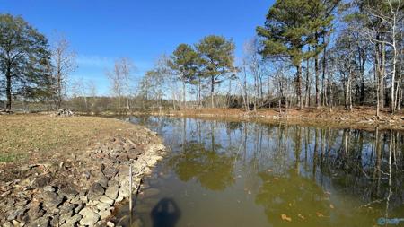 .25 Acres Copper Leaf Walk