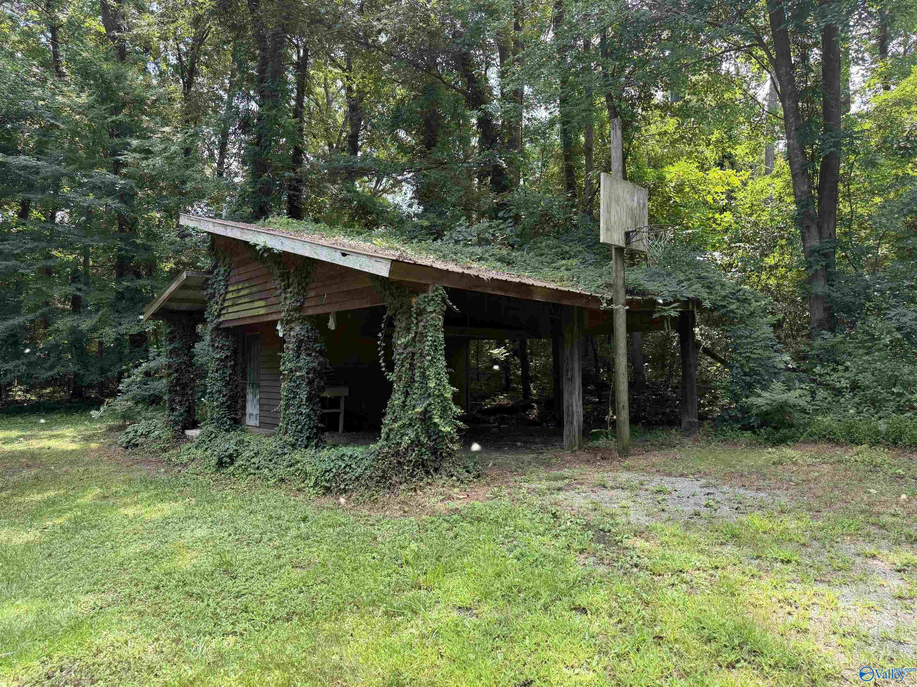 Image 4