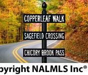 C-14 Chicory Brook Pass
