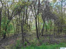810 Monte Sano Drive