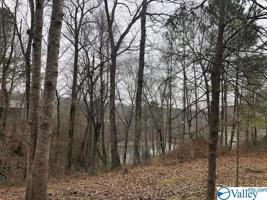 County Road 133