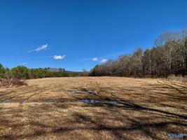 11.25 acres Mcclain Avenue