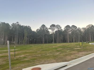 Lot 8 Spring Creek Cove