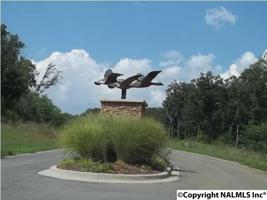 Lookout Mountain Drive 