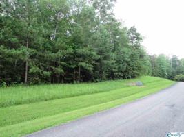 0 Stoney Point Drive