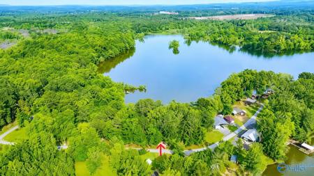 Lot 10 County Road 609