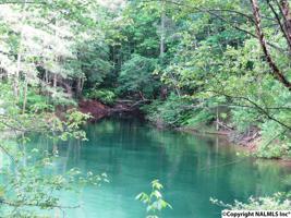 33 County Road 159