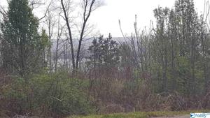 0 Keene Point Drive