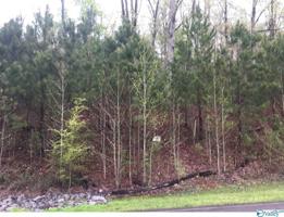 1379 Lookout Mountain Drive