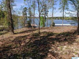 00 Monte Sano Drive