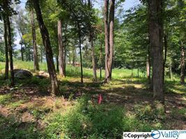 276 Mitchell Hollow Road
