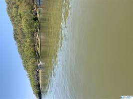 202 Signal Point Drive