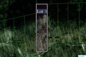 Lot 1 County Road 224
