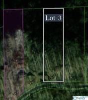 Lot 3 County Road 224