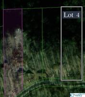 Lot 4 County Road 224