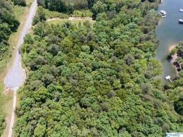 LoT 115 County Road 182