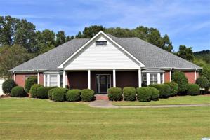806 Ivy Trail