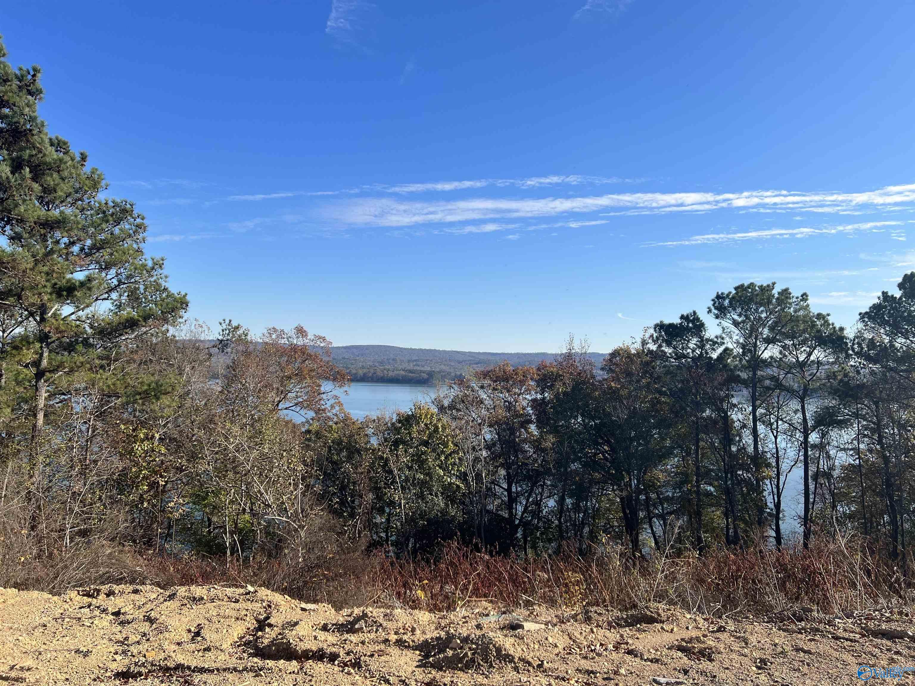 3151 Preston Island Circle, Scottsboro, AL lhrmls01399725