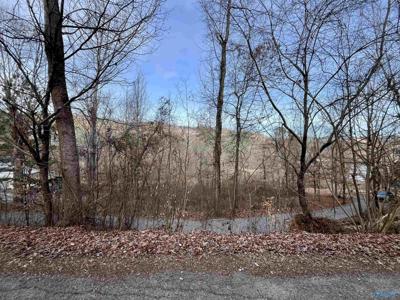 LOT 4 & LOT 5 Pine Island Point