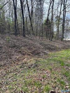 Lot 17 Laura Drive