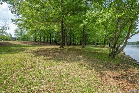 Lot M-3 Copper Leaf Walk