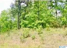 000 County Road 3151