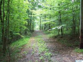 0 County Road 3782
