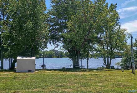 Lot 29 County Road 789