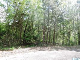 77 Broken Arrow Trail