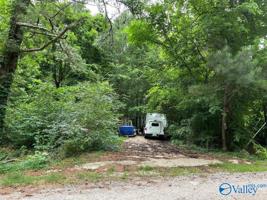 1 Cottonmouth Lane
