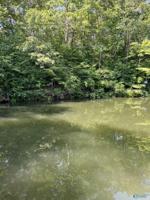 Lot 12 Olivia Shores Lane