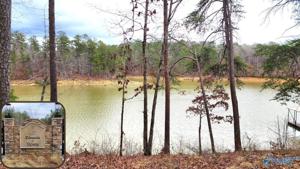 Lot 43 Shoreside Drive