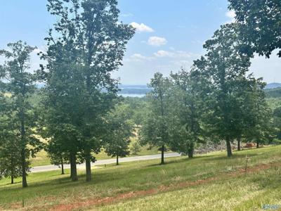 Lot 218 County Road 1022