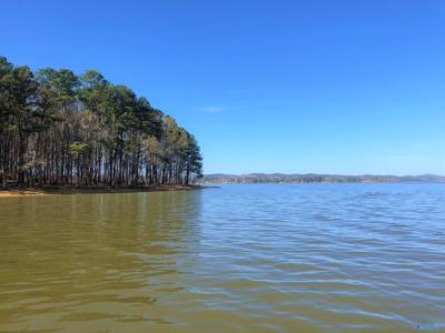 Lot 4 Little River Landing