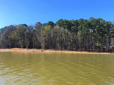 Lot 6 Little River Landing